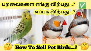How To Sell Pet Birds @Good Price || Methods And Steps Explained To Sell A Birds With Good Profit