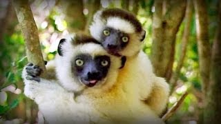 The Children of Lemuria (full documentary)
