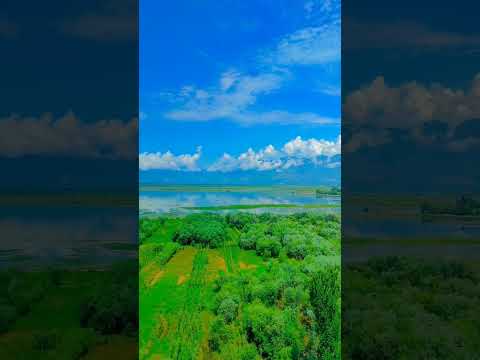 Top 10 nature hashtags · #nature - 40% · #photography - 10% · #naturephotography - 9% ·