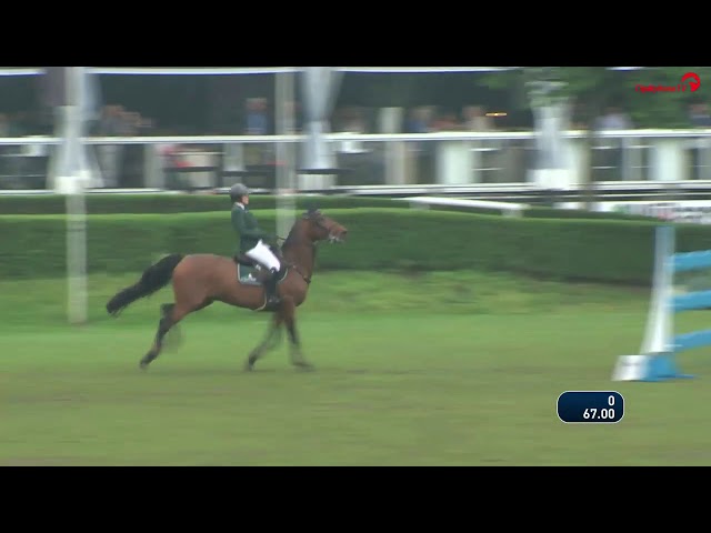 Half-Brother of the mother of this implanted embryo is Tinka's Hope, Grand Prix CSI 1.60m horse with rider Demi van Grunsven.