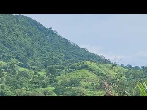 Vereda Santa Isabel - Puerto libertador (Córdoba) 