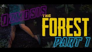 The beginning of a great adventure!!!! - The Forest part one