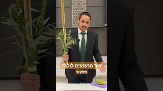 איך מנענעים לולב? - חלק א'