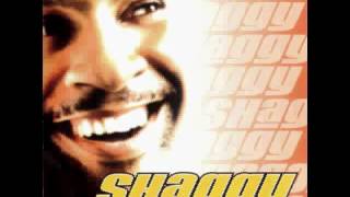 Shaggy Joy You Bring.flv