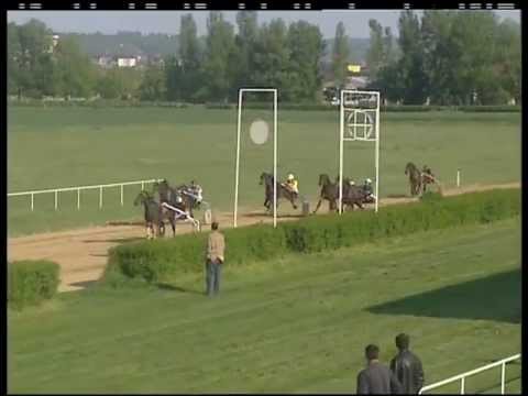 Trka Dunav 2011, pobednik Son Of The Road