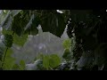 RAIN SOUND FOR MIND RELAXATION