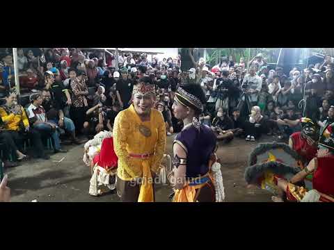 Lagi Viral Dokter inggar Gandrung Srikayangan