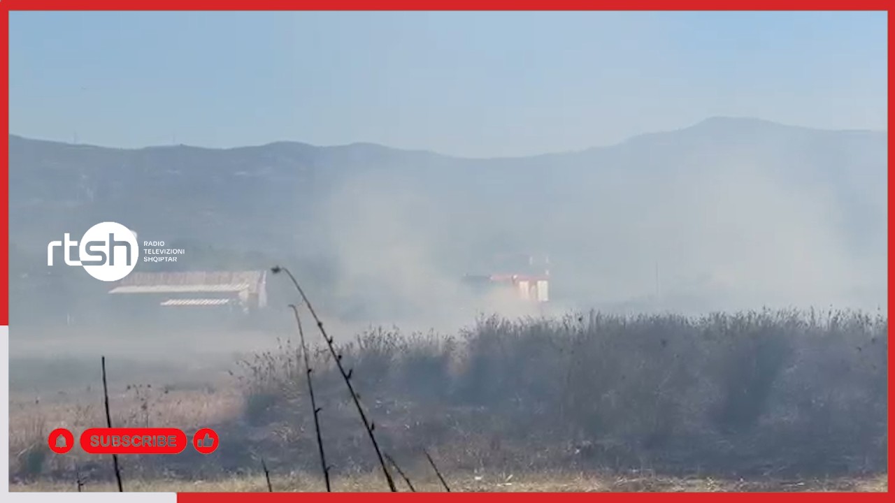 Zjarr në Rrilë, flakët favorizohen nga era. Digjet një sipërfaqe e gjerë me shkurre