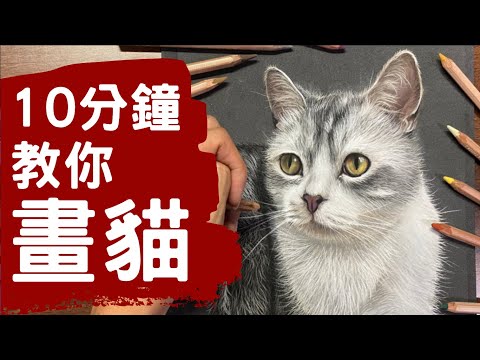 【寫實畫教學】十分鐘教你用乾粉彩畫貓 | Steven Tang