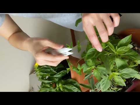 Self-Opening Scissors