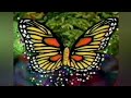 Barney Song Butterfly Song Hoo S In The Forest