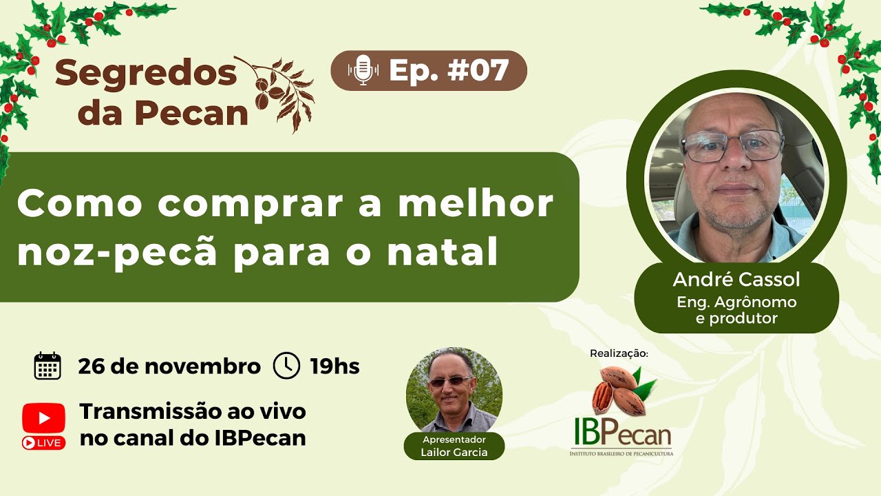 COMO COMPRAR A MELHOR NOZ-PECÃ PARA O NATAL - Segredos da Pecan #07