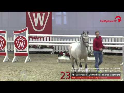 23 HET Lucky Lao II - Donnerblitz - Sunrise Moonlight