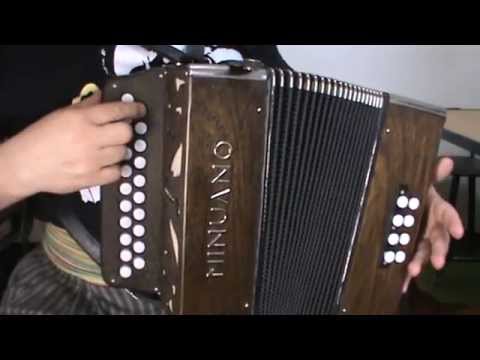 Cezar Ferreira - CADELA BAIA (Introdução) - passo a passo