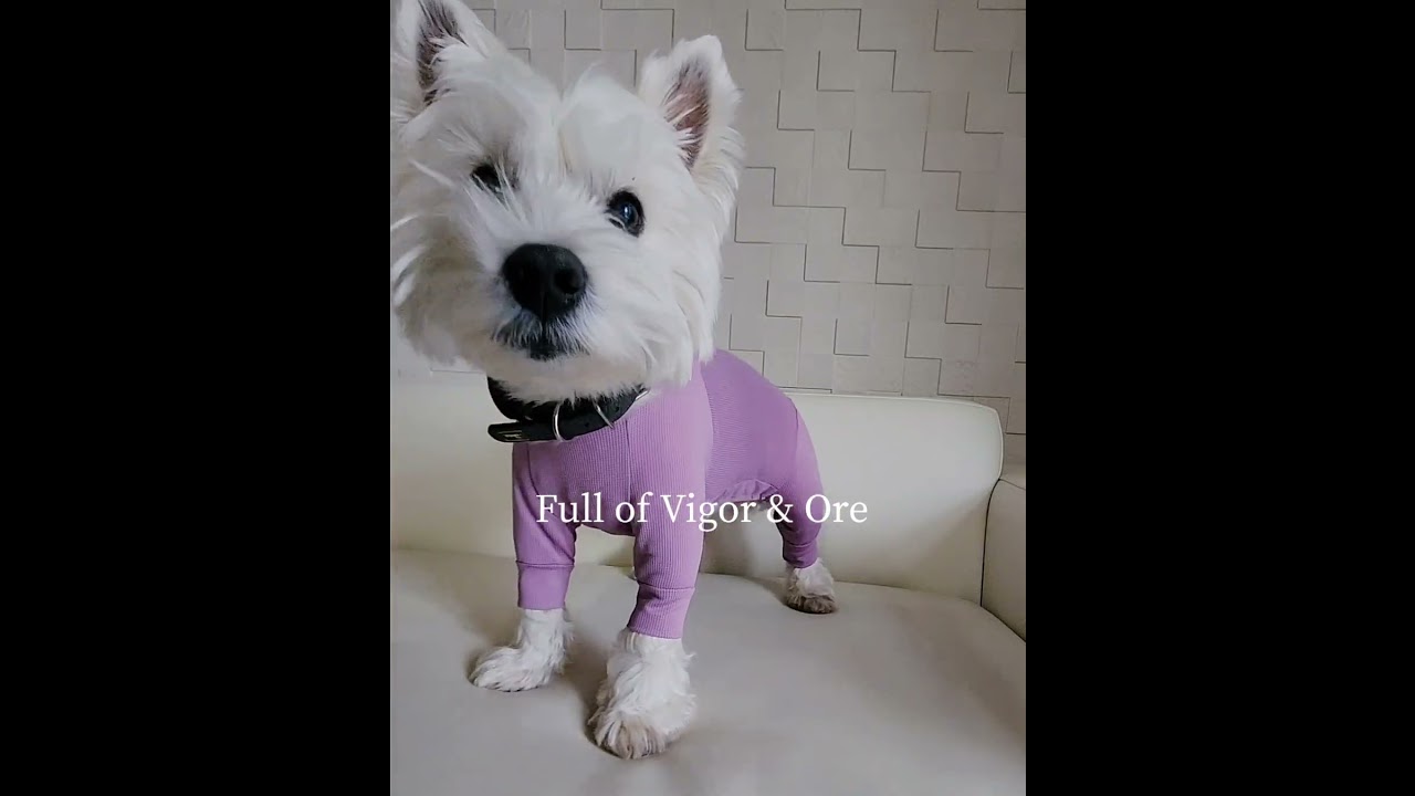 Full of Vigorのベアワッフルつなぎをきてみた！