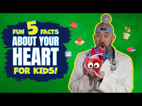 5 Fun Heart Facts for Kids! ❤️🫀 | Amazing Human Body Facts
