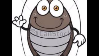 Cancion infantil ( la cucaracha )