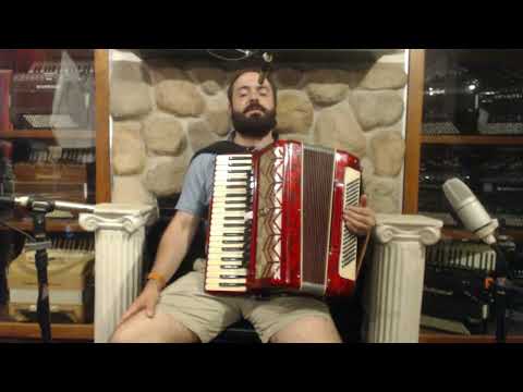 6778 - Red Gold Parrot Piano Accordion LMMH 41 120 image 2