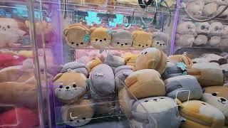 Download lagu Funclaw Friday cat  #viralshort  mp3