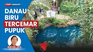 Terkuak! Warna Air Danau Biru di Bengkulu Tengah Ternyata dari Pupuk Sawit, Tak Layak Konsumsi