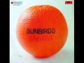 Sunbirds - Ocean Song 