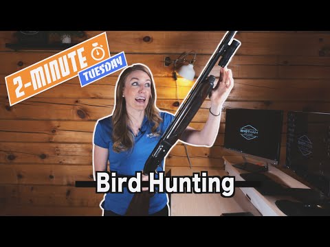 How to Hunt with ShotKam Camera ⁠— Hunting Settings & Tips