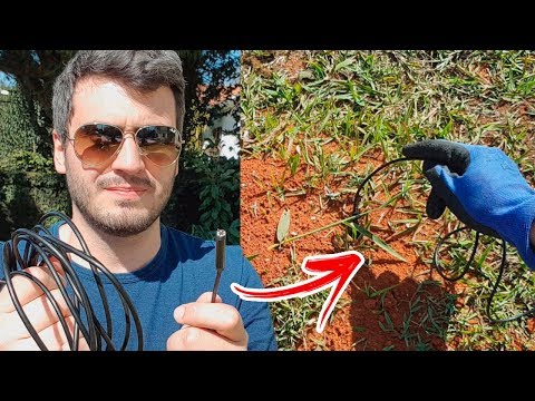 O Formigueiro video