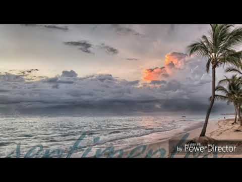Sentimento video