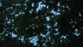 The Legends - Keep Him (Official Video)