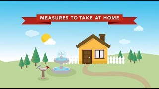 Dengue - Measures to take at home