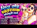 भोजपुरी के सदाबहार शुषशहरे गाना 2026 2026 क�