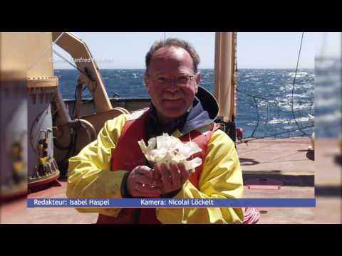 04.08.2017 | Journal Stuttgart | Regio TV