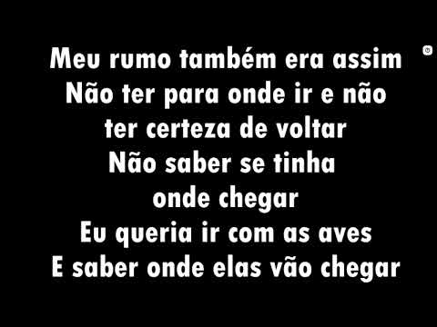 Para Onde Vão As Aves Sérgio Lopes Voz Letra