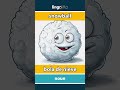 snowball - bola de nieve video thumbnail