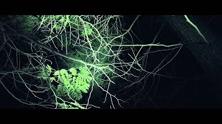 Speakman Sound - Survive This And Dance [Official Music Video]