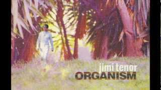 Jimi Tenor - Beach Boy