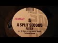 A Split Second ‎– Flesh (Mr Sam Vs Fred Baker's Back To The Neo Punk Attitude Remix)