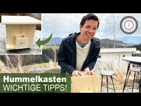 Bumblebees help with the bumblebee box; how to fill it correctly - important tips