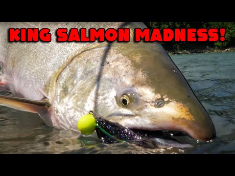 12 Minutes Of INSANE KING SALMON FISHING!! Bobber Downs, SAVAGE Takedowns, Twitching & MORE!