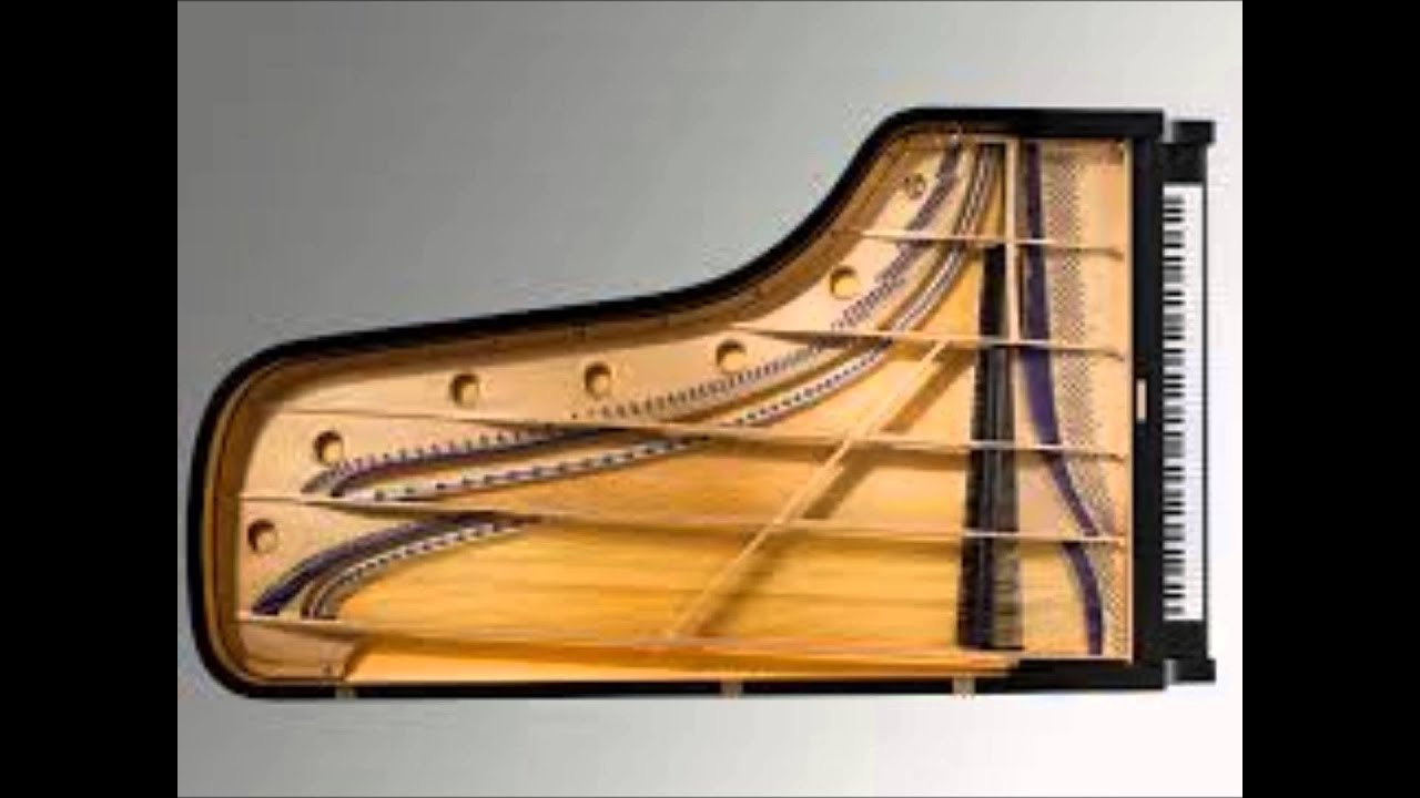 Bradley-Fulgoni plays Mario Fulgoni Breve Studio No.8