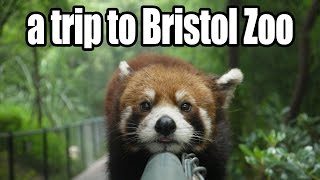 preview picture of video 'a trip to Bristol Zoo'