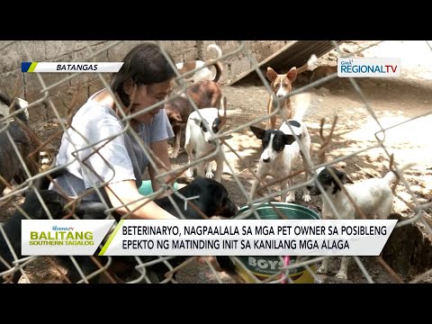 Balitang Southern Tagalog: Beterinaryo, may paalala sa mga pet owner ngayong mainit ang panahon