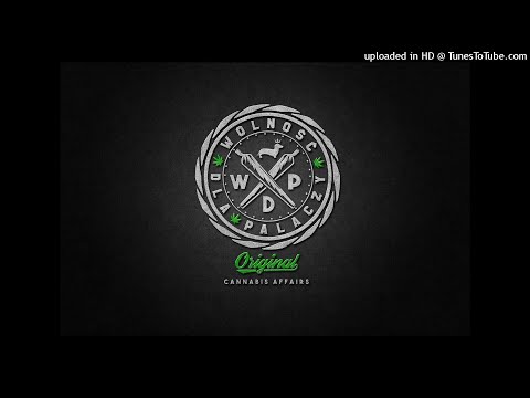 Gizmo WDP - (stare) dreszcze w pipach