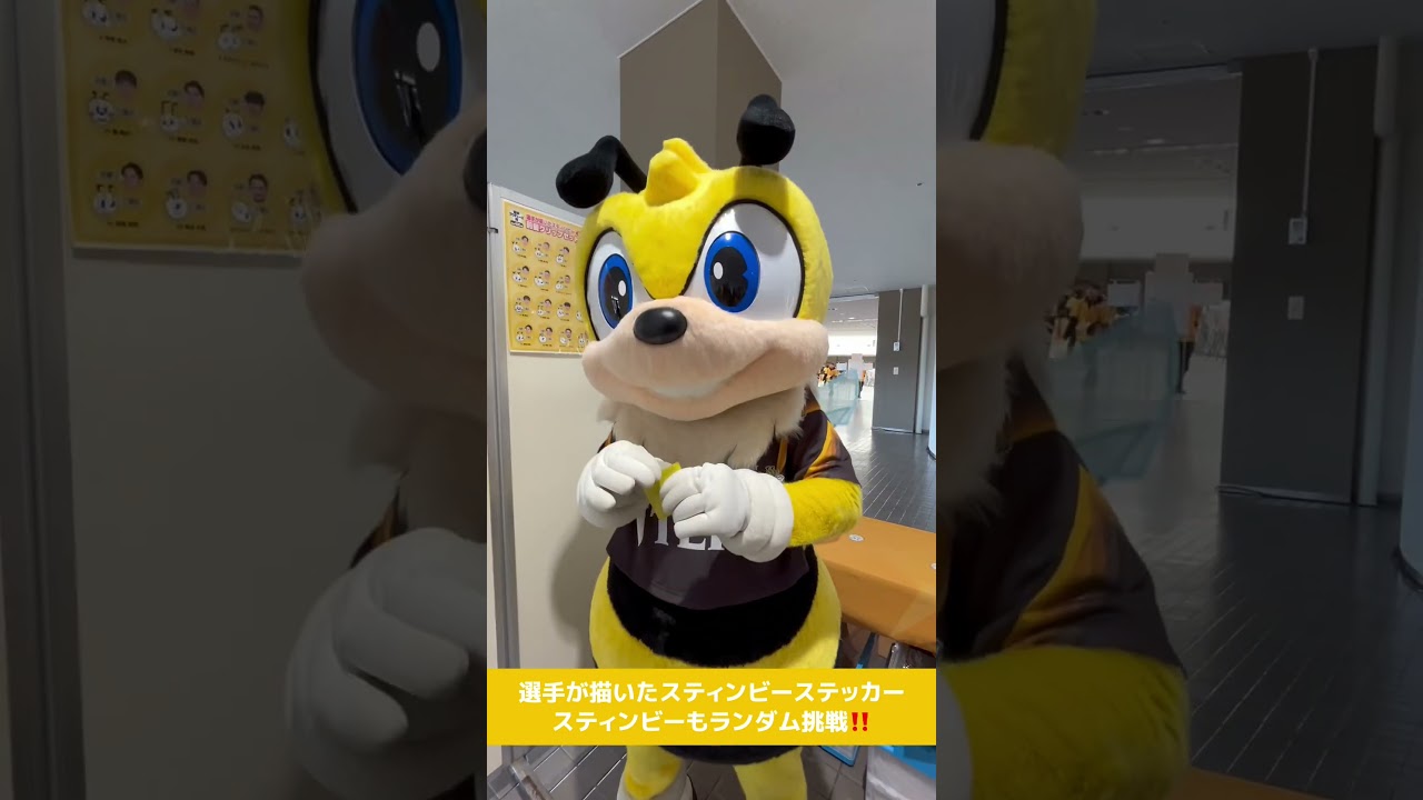 選手が描いたスティンビーTシャツ 予約は4/5(日)23:59まで🛒‼️