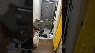 全部諦めた黄猿のモノマネ