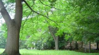 As  Time  Goes  By 　・Bryan Ferry・～時の過ぎ行くままに