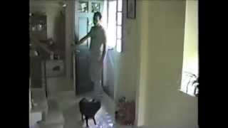 Every Dog Has his Day