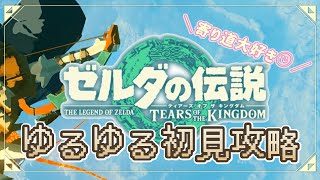 #11【ティアキン】ボルドゴーマをぶち倒すところから攻略するぞ！【ゼルダの伝説】