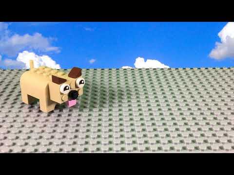Der Hund
