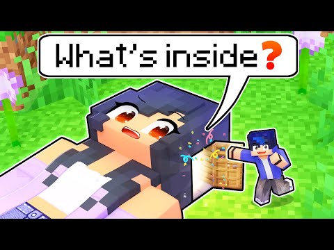 What's Inside APHMAU'S Head In Minecraft!